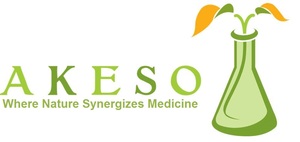 Logo Akeso